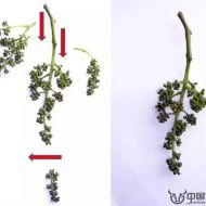 60���DƬ�v�������R���ڹ���